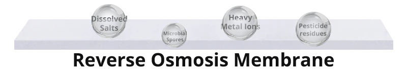 Reverse Osmosis Membrane